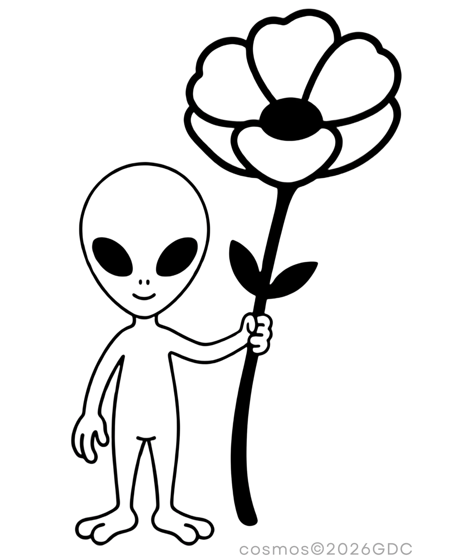 Archive fragment associated with AR-005 — hooba cosmos